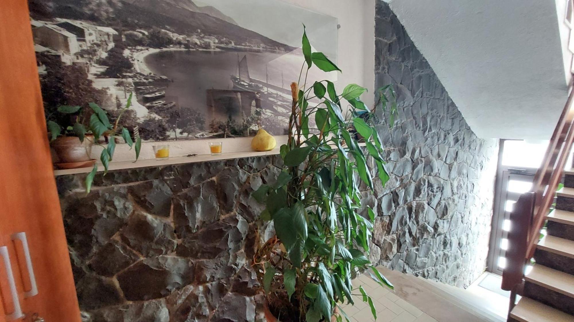 Appartamento Haus Sonja Podgora Esterno foto