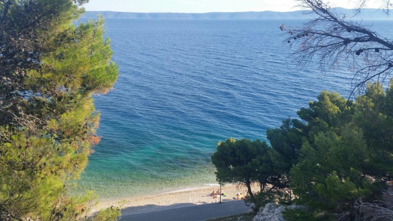 Appartamento Haus Sonja Podgora Esterno foto